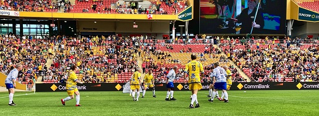 黄蜂队需要 黄蜂队需要