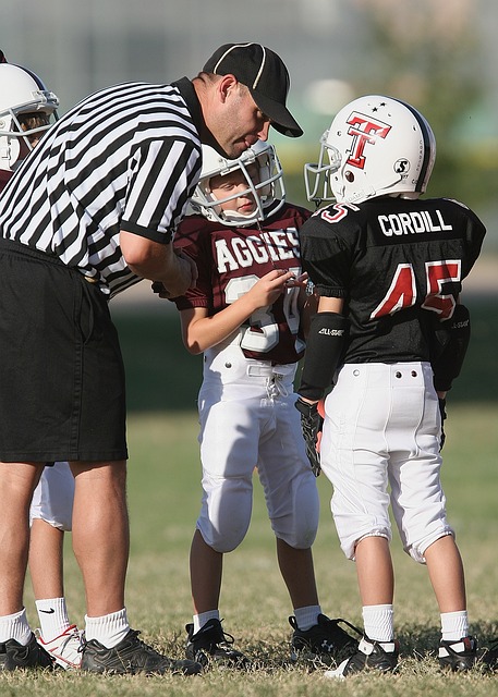 包括分析马 包括分析马